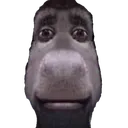DonkeyStare