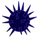 Urchin