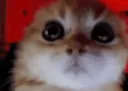 RAGEY RAGEY