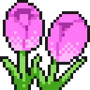 05_flower_tulip