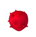 Rokakaka Rokakaka