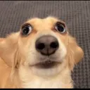 ohfuck