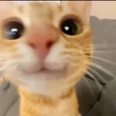 happykitty1