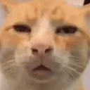 uhhhhhh