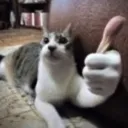 yes