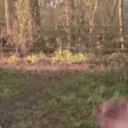 nooo