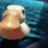 DuckCowering
