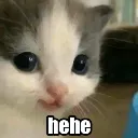 Hehe Hehe