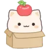 box_kitty
