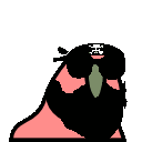 bikerParrot
