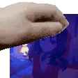 sleepymitapetpet