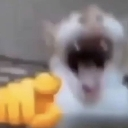 Lol_2 custom emote | 𝐙𝐑𝐗𝟎𝟕