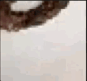 shad_booli_lacy Discord emoji
