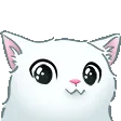 memecat
