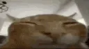 buhFlipExplode