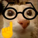 8c_catnerd 8c_catnerd