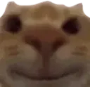 SmileStareSnickers