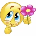 cutie_flower