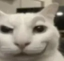 Smirkkitty