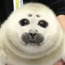 emoji_35