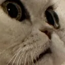 mou_scared2