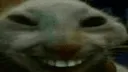 xdd xdd