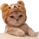 cat_bear_sit Discord sticker - The Lumberyard™