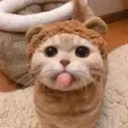 cat_bear custom emote from The Lumberyard™