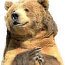 bear_clap Discord Emoji - The Lumberyard™