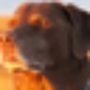 emoji_80 custom emote from /𝗘𝗰𝗹𝗶𝗽𝘀𝗲