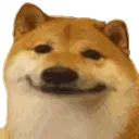 1376173746024611961.webp
