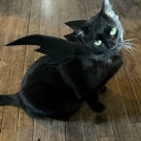 griffin_bat custom emote | The Lumberyard™
