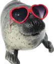 coolseal