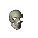 skullspin