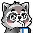 sipraccoon