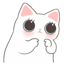 7_catshy1