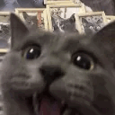D_wa