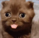 dumbassbitchidiot