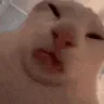 sex sex