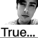true true