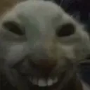 CatMwhehehe CatMwhehehe