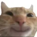 CatYey