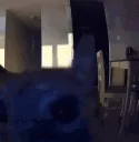 catflashbang