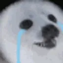 BuiPawz1919638899292266717