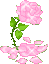 meow_pink_petal