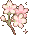 moew_Pink_flower