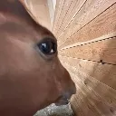 ShimmerSideEye