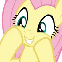 FlutterAdmire