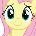 FlutterApplaud