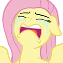 FlutterCry